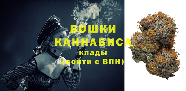 гашик Аркадак