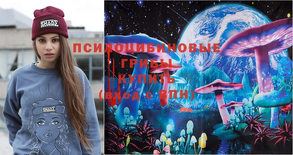 гашик Аркадак